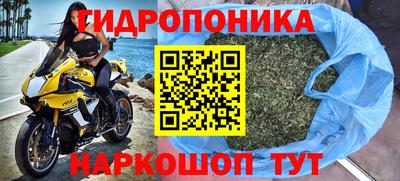 ПСИЛОЦИБИНОВЫЕ ГРИБЫ Краснокаменск