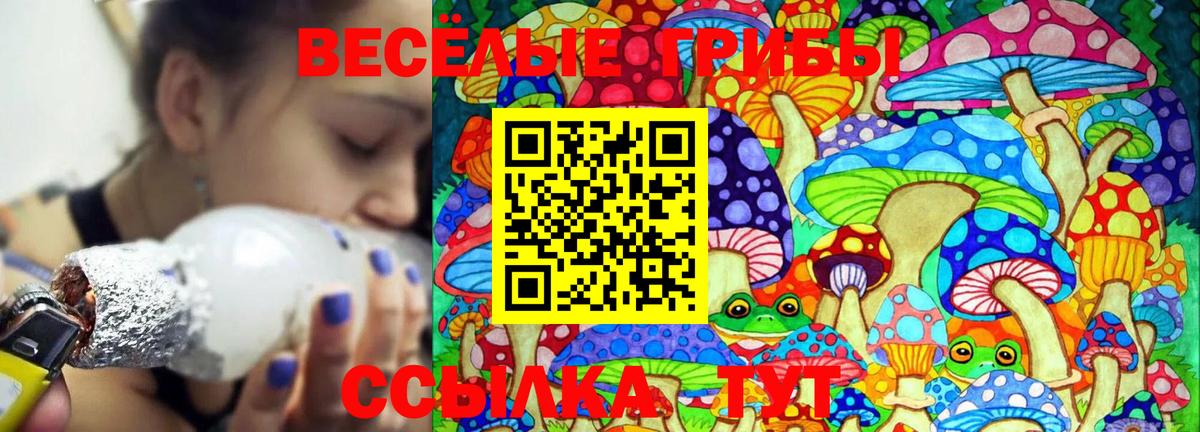 Дзержинск  Псилоцибиновые грибы Cubensis  Вход с VPN  Галлюциногенные грибы прущие грибы 