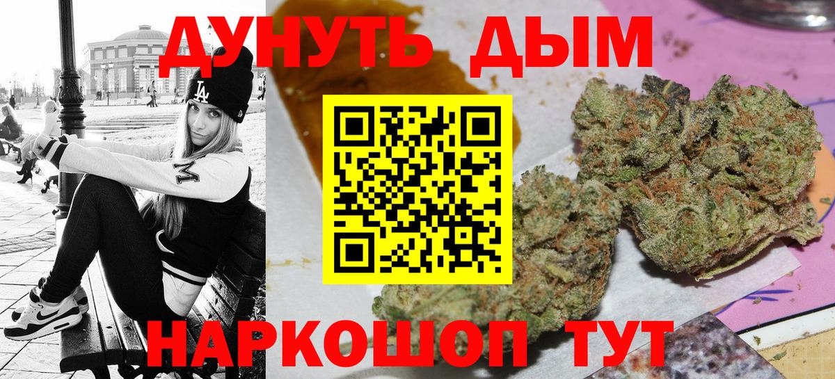 Конопля сатива Дзержинск